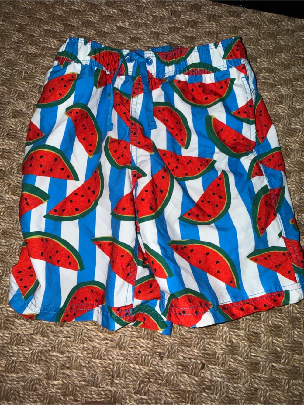 Hanna Andersson Blue & Red Watermelon Stripe Swim Shorts